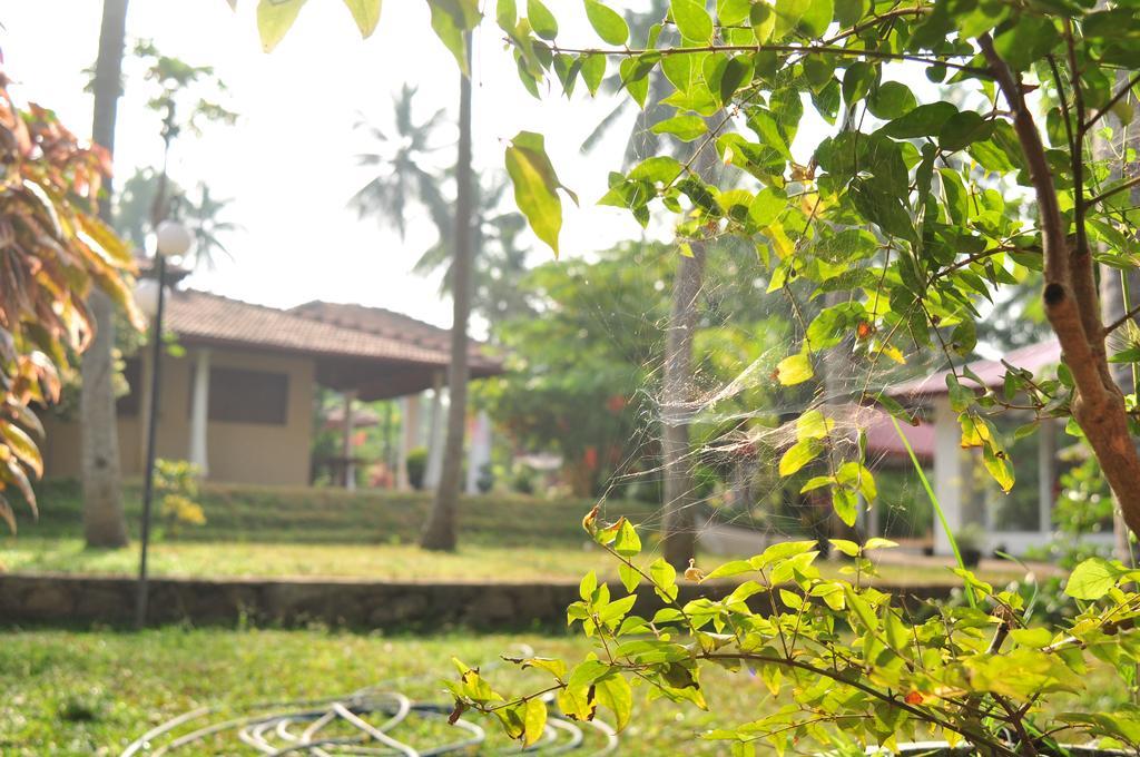 Soba Lanka Holiday Resort Melsiripura Exterior foto