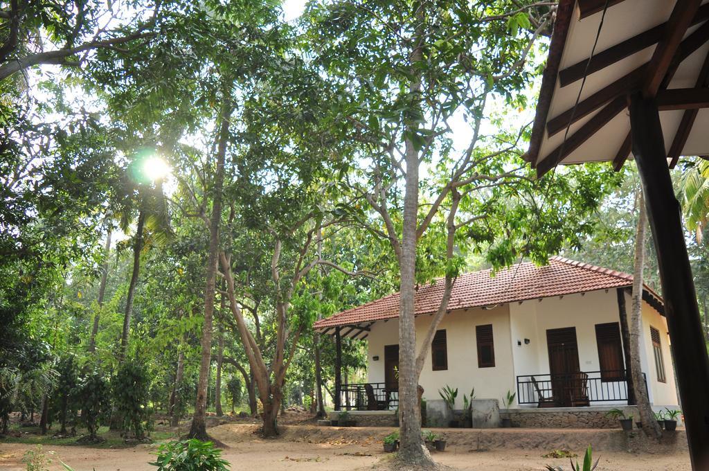 Soba Lanka Holiday Resort Melsiripura Exterior foto