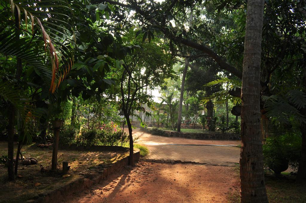 Soba Lanka Holiday Resort Melsiripura Exterior foto