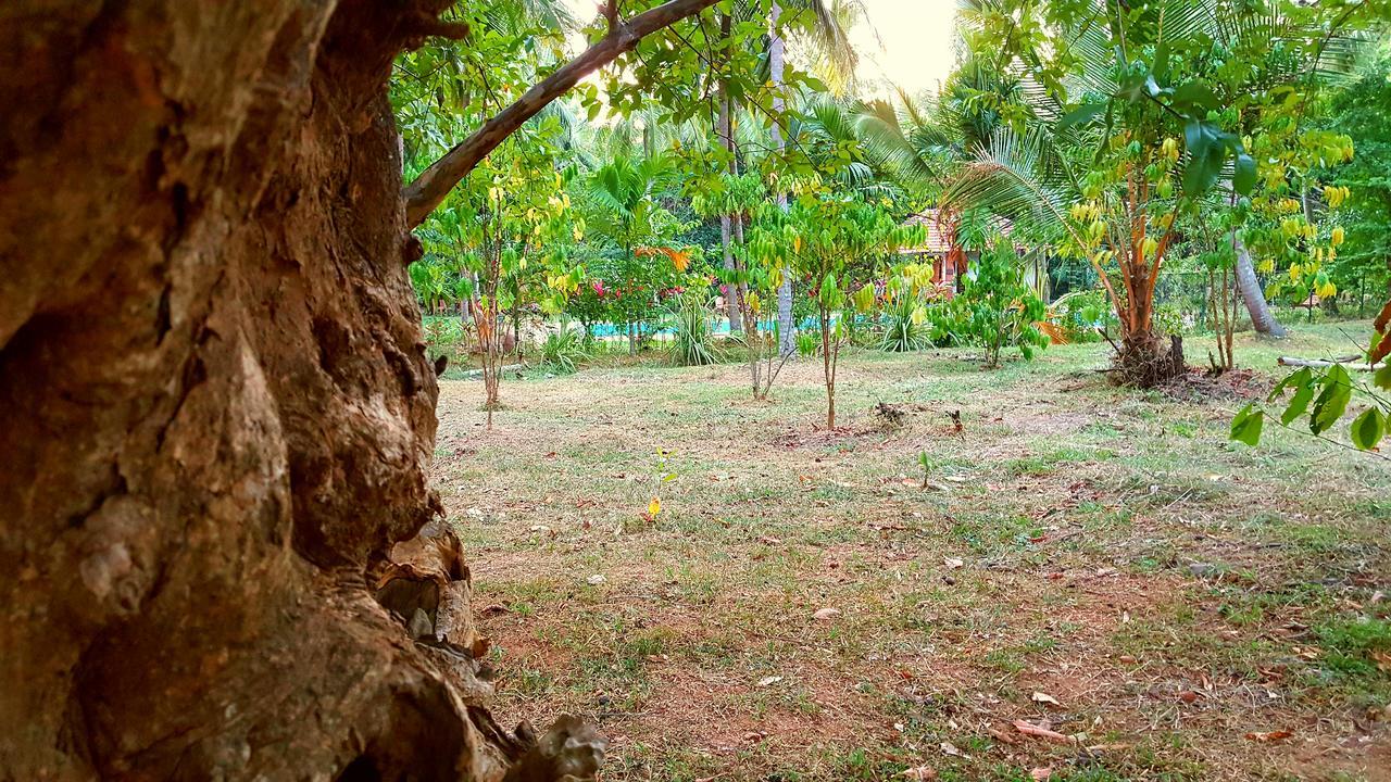 Soba Lanka Holiday Resort Melsiripura Exterior foto