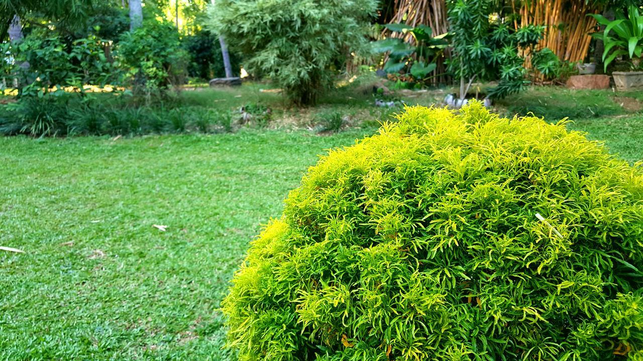 Soba Lanka Holiday Resort Melsiripura Exterior foto