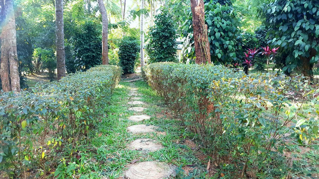 Soba Lanka Holiday Resort Melsiripura Exterior foto