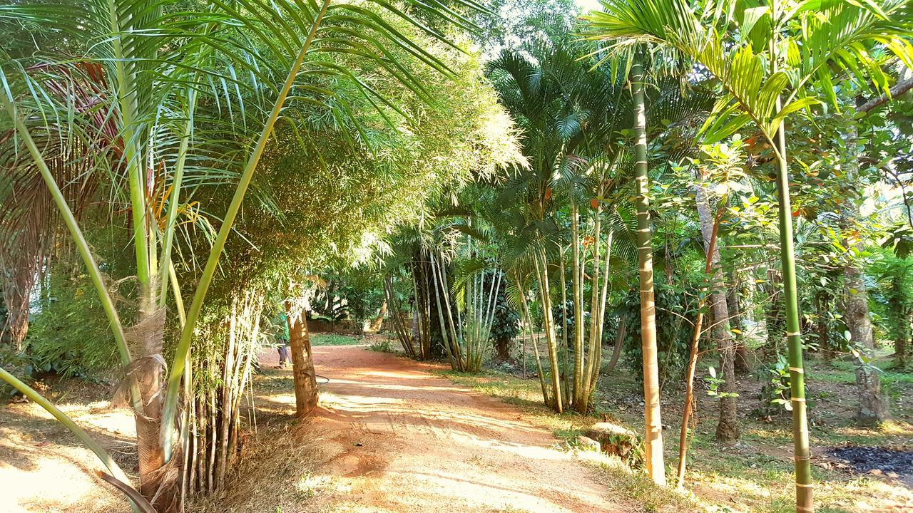 Soba Lanka Holiday Resort Melsiripura Exterior foto