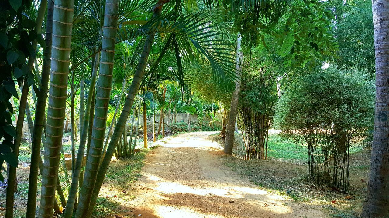 Soba Lanka Holiday Resort Melsiripura Exterior foto